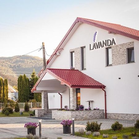 Pensiunea Lavanda, Piatra-Neamt Piatra Neamt Ngoại thất bức ảnh