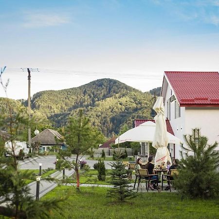 Pensiunea Lavanda, Piatra-Neamt Piatra Neamt Ngoại thất bức ảnh