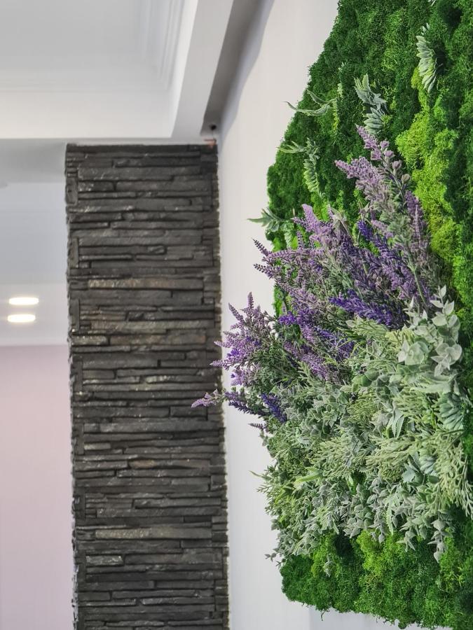 Pensiunea Lavanda, Piatra-Neamt Piatra Neamt Ngoại thất bức ảnh