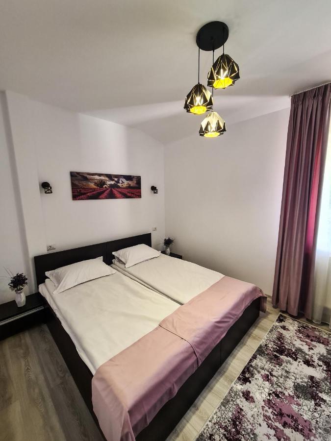 Pensiunea Lavanda, Piatra-Neamt Piatra Neamt Ngoại thất bức ảnh