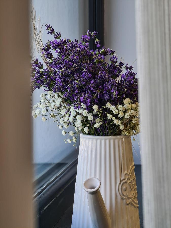Pensiunea Lavanda, Piatra-Neamt Piatra Neamt Ngoại thất bức ảnh
