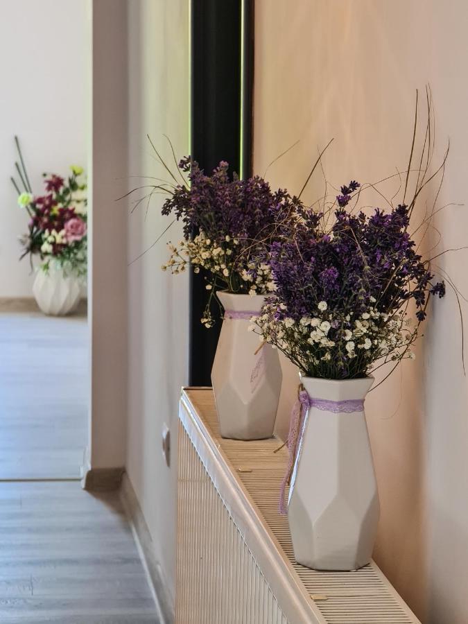 Pensiunea Lavanda, Piatra-Neamt Piatra Neamt Ngoại thất bức ảnh