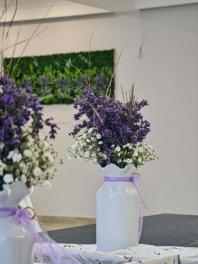 Pensiunea Lavanda, Piatra-Neamt Piatra Neamt Ngoại thất bức ảnh