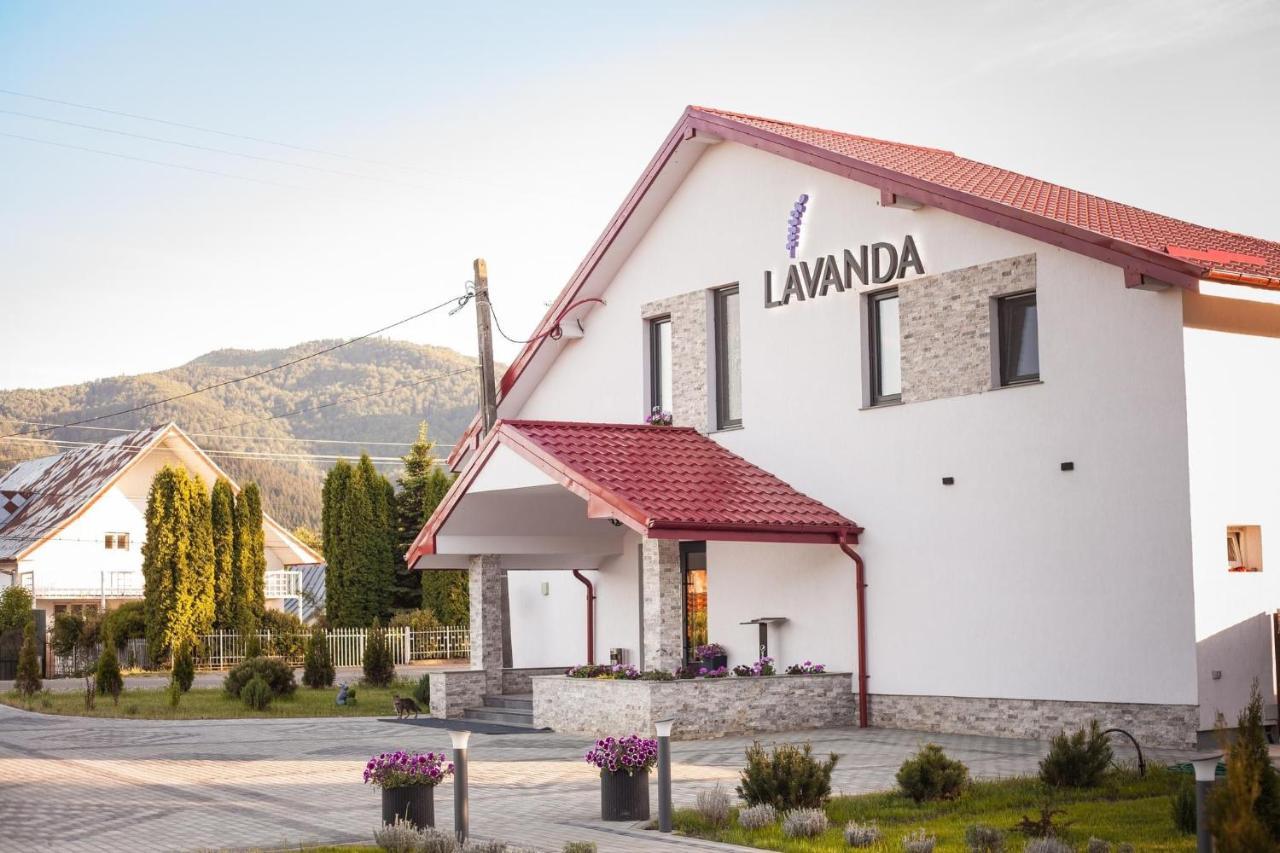 Pensiunea Lavanda, Piatra-Neamt Piatra Neamt Ngoại thất bức ảnh