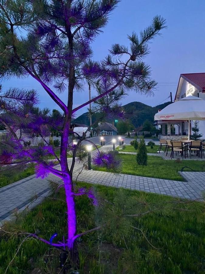 Pensiunea Lavanda, Piatra-Neamt Piatra Neamt Ngoại thất bức ảnh